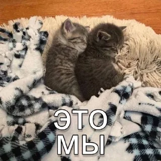 🌟 emoji для любимых!! <3 Telegram sticker 19 of 50