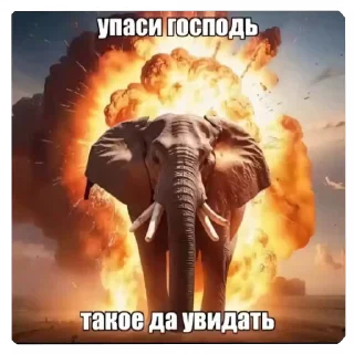 😳 emoji Спасибо Господь что я такой ах Telegram sticker 16 of 85