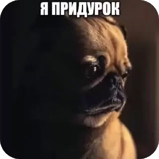 😔 emoji Спасибо Господь что я такой ах Telegram sticker 15 of 85