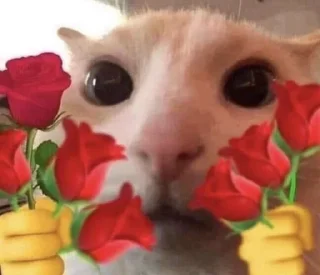 🌹 emoji это я Telegram sticker 10 of 64
