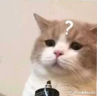 ❓ emoji коты флока. Telegram sticker 22 of 89
