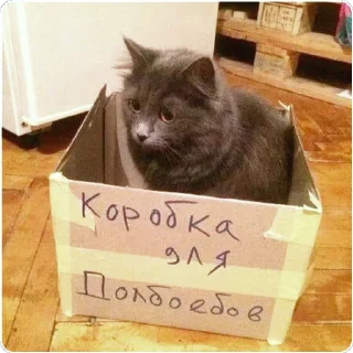 🐈 emoji Говнопак Telegram sticker 5 of 120