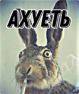 😳 emoji Говнопак Telegram sticker 11 of 120