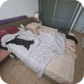 🛋 emoji даня дал юле Telegram sticker 22 of 26