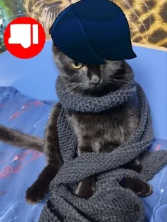 🌟 emoji Мушка и ее кенты Telegram sticker 12 of 65
