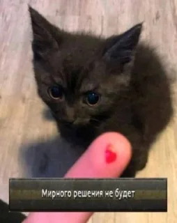 😡 emoji я хочу анального секса Telegram sticker 7 of 90
