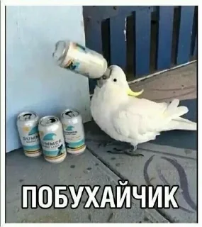 🌟 emoji Каждый день одно и то же Telegram sticker 16 of 103
