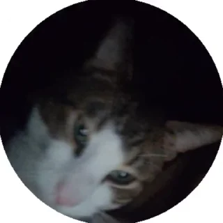 🫤 emoji Lilnix Telegram sticker 22 of 31