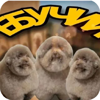 🐶 emoji Мемас Telegram sticker 12 of 16