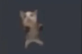 🗡 emoji Лови от легенды @idiot_nikolaevich Telegram sticker 16 of 50