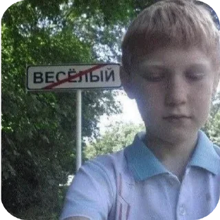 😎 emoji поко шарит Telegram sticker 5 of 74
