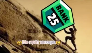 🤠 emoji Купиберас Telegram sticker 23 of 51