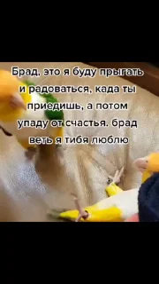 🫶 emoji ✨ДЕБЕЛИКИ✨ Telegram sticker 13 of 46