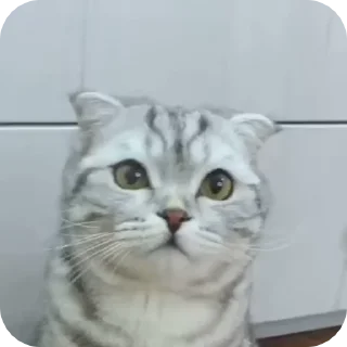 👎 emoji Фавориты 👉 @KirillUsenko Telegram sticker 6 of 50