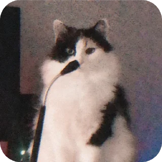 😼 emoji Люся и все-все-все Telegram sticker 7 of 118