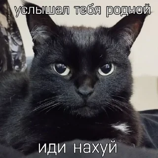 🖕 emoji Люся и все-все-все Telegram sticker 11 of 118