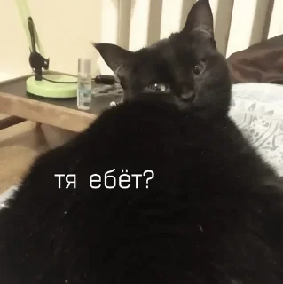 🫤 emoji Люся и все-все-все Telegram sticker 17 of 118