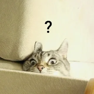 😯 emoji Люся и все-все-все Telegram sticker 18 of 118