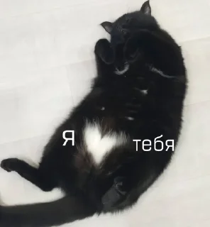 🥰 emoji Люся и все-все-все Telegram sticker 10 of 118