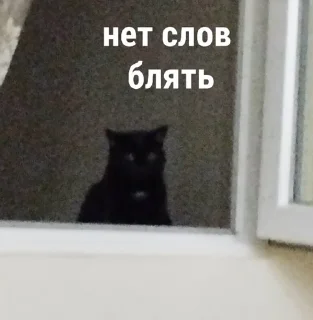🤐 emoji Люся и все-все-все Telegram sticker 14 of 118