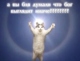 Sticker from Хзхх ваще чо эта @temy_yazyki_bot