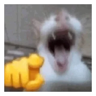 🤣 emoji эта чо Telegram sticker 24 of 120