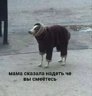 🥲 emoji для важных разговоров Telegram sticker 17 of 86
