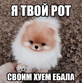 🥰 emoji для важных разговоров Telegram sticker 7 of 86