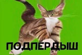 😗 emoji для важных разговоров Telegram sticker 22 of 86