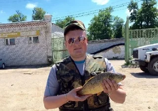 🧚 emoji Ебанися Telegram sticker 9 of 90