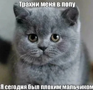 😅 emoji Джупсики Telegram sticker 11 of 110