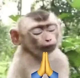 🙏 emoji миле было скучно Telegram sticker 15 of 74