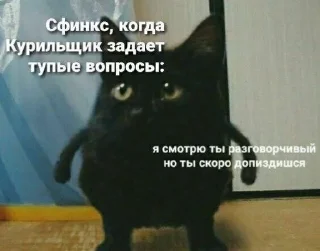 📚 emoji Дом, в котором живут мемы Telegram sticker 6 of 20