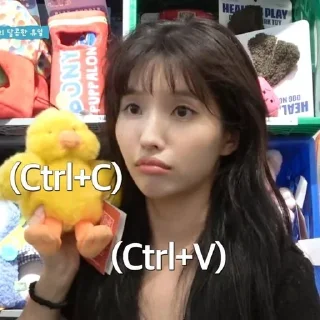 🐥 emoji (G)i-dle memes @annnmd Telegram sticker 6 of 94
