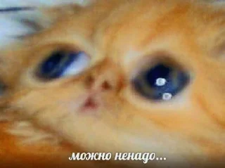 😿 emoji мур-мяу Telegram sticker 19 of 60
