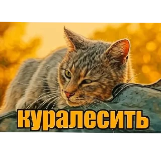 🌟 emoji Vibissdög onlun Telegram sticker 17 of 18