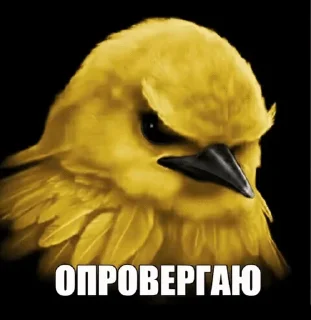 🌟 emoji Птицы Telegram sticker 19 of 120
