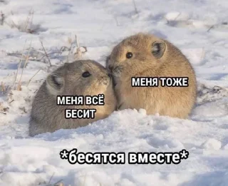❤️ emoji лю <з Telegram sticker 7 of 16