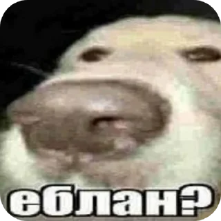 👍 emoji Поко кайфанкл Telegram sticker 18 of 30