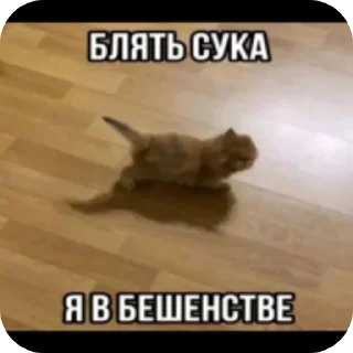 👍 emoji Поко кайфанкл Telegram sticker 23 of 30