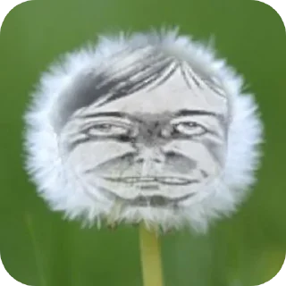 👍 emoji Бледный гость и любымый Telegram sticker 10 of 120
