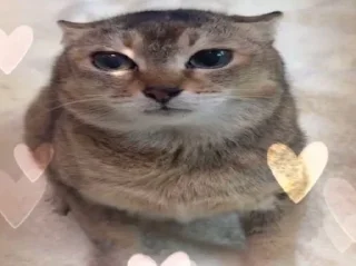 🥰 emoji Котеке Telegram sticker 12 of 46