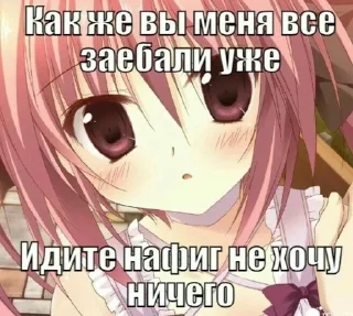 🎀 emoji Уебите меня арматурой Telegram sticker 9 of 43