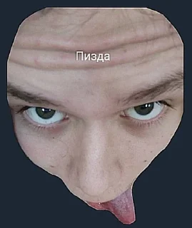 🤪 emoji Водоплавус Telegram sticker 10 of 11