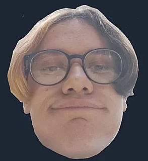 🙂 emoji Водоплавус Telegram sticker 8 of 11