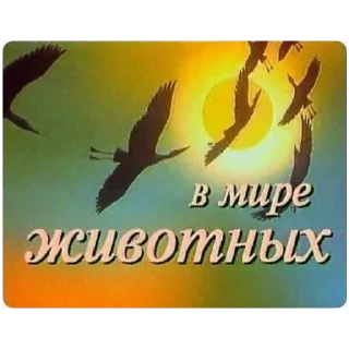 Sticker from блядство @hellkingx