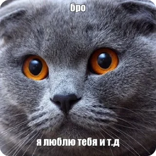 🌟 emoji Для важностей Telegram sticker 23 of 101