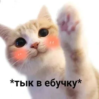 🐾 emoji Я тебя трахну 💖💖💖 @nudhope Telegram sticker 12 of 110