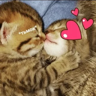 😘 emoji Я тебя трахну 💖💖💖 @nudhope Telegram sticker 11 of 110