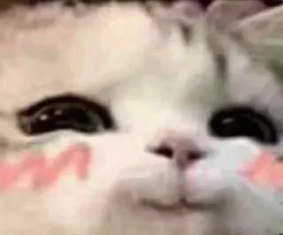 🥴 emoji Я тебя трахну 💖💖💖 @nudhope Telegram sticker 22 of 110